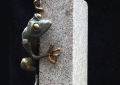 PEEPING TOM, front view. 11 x 5 x 3 inches. Bronze tree frog sculpture, limited edition. Mounted on white granite. Designed to hang on a wall corner.