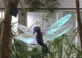 HORSEFLY. Foam, latex, wire, mylar. The artist envisioned seahorses developing wings like dragonflies in order to leave ocean acidification and find new habitats.